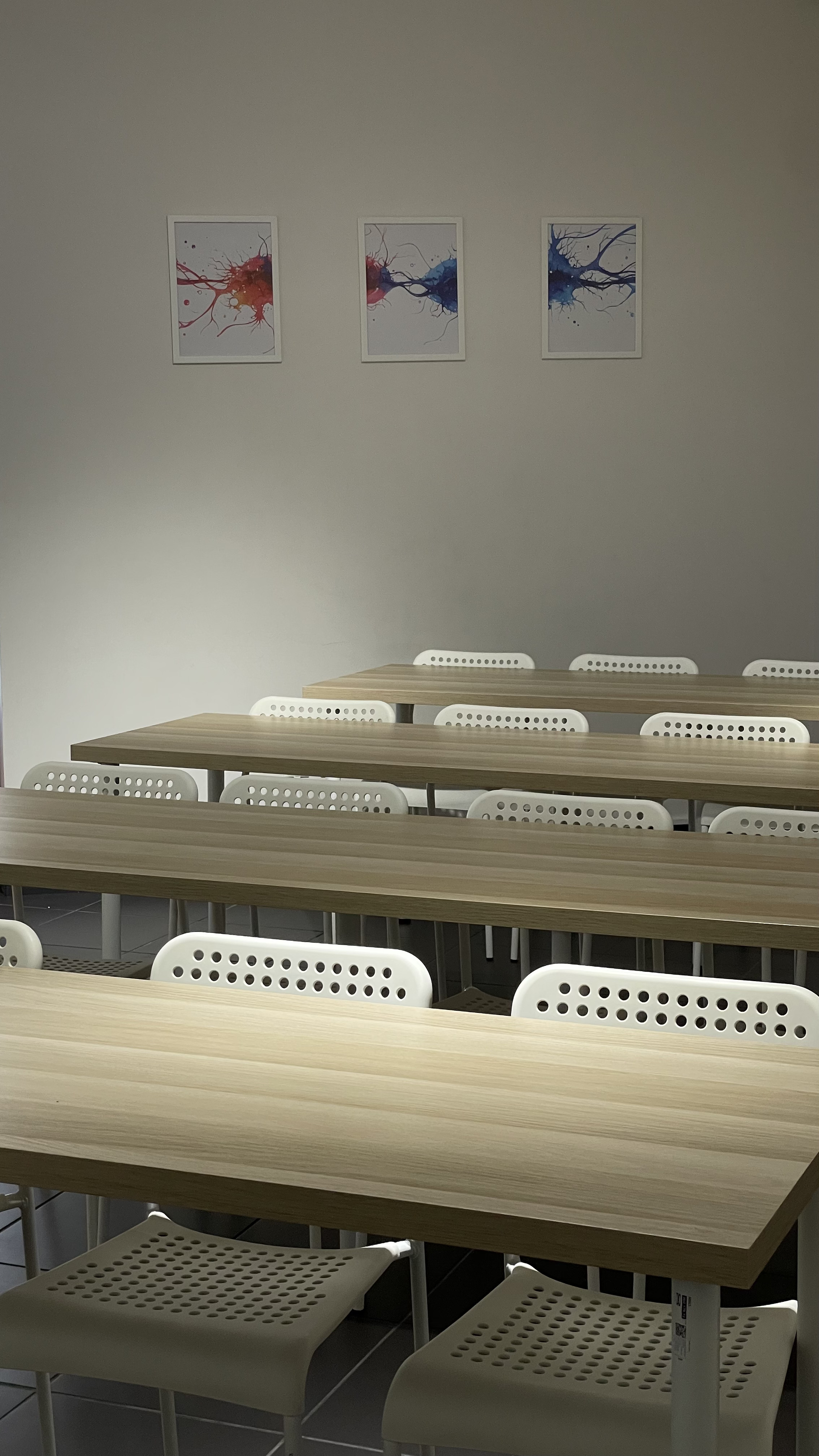 Espaço ADN Ensinar — Foto 5